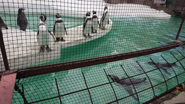 天王寺動物園に投稿された画像（2021/11/15）