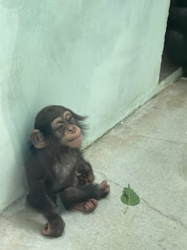 沖縄こどもの国に投稿された画像（2021/11/15）