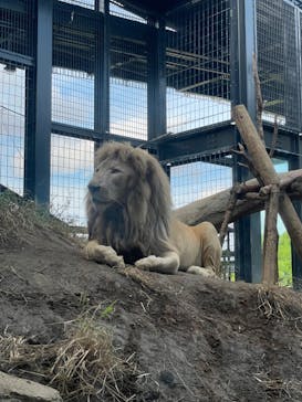 沖縄こどもの国に投稿された画像（2021/11/15）