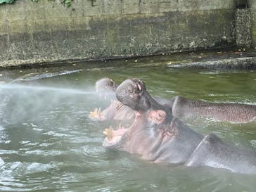 沖縄こどもの国に投稿された画像（2021/11/15）