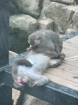 沖縄こどもの国に投稿された画像（2021/11/15）