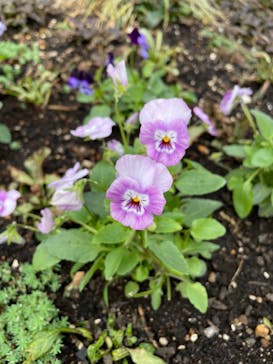 沖縄こどもの国に投稿された画像（2021/11/15）