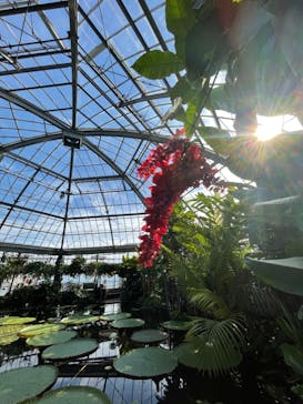 熱川バナナワニ園に投稿された画像（2021/11/15）