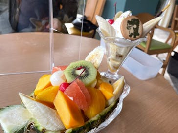 熱川バナナワニ園に投稿された画像（2021/11/15）