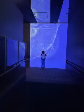 すみだ水族館に投稿された画像（2021/11/15）