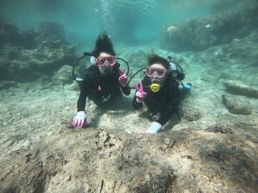 武藤潜水に投稿された画像（2021/11/15）