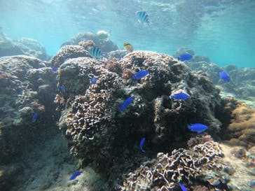 武藤潜水に投稿された画像（2021/11/15）