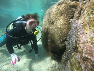 武藤潜水に投稿された画像（2021/11/15）