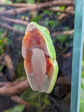 カワスイ 川崎⽔族館に投稿された画像（2021/11/15）