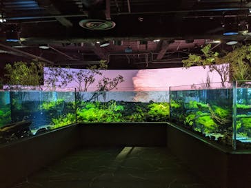 カワスイ 川崎⽔族館に投稿された画像（2021/11/15）