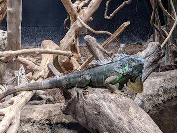 カワスイ 川崎⽔族館に投稿された画像（2021/11/15）