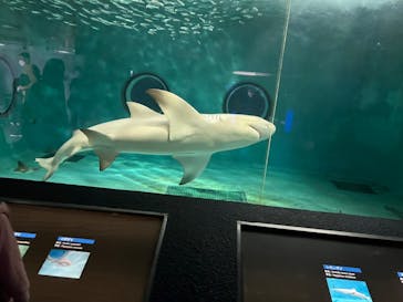 鴨川シーワールドに投稿された画像（2021/11/15）