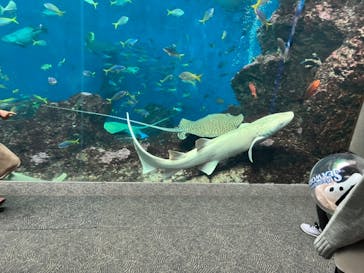 鴨川シーワールドに投稿された画像（2021/11/15）