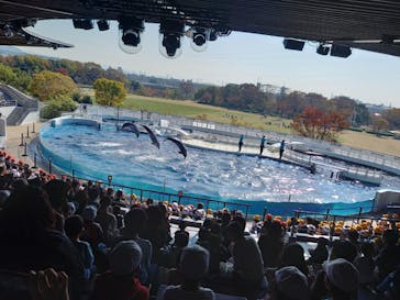 京都水族館に投稿された画像（2021/11/15）
