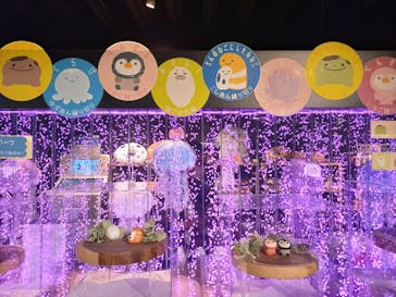 京都水族館に投稿された画像（2021/11/15）