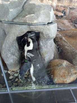 京都水族館に投稿された画像（2021/11/15）