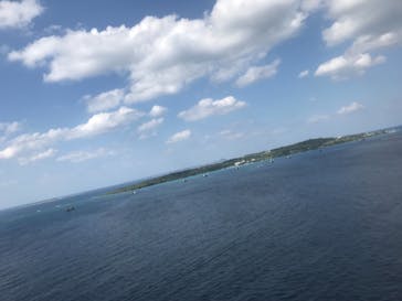 マリンショップ マーメイドに投稿された画像（2021/11/15）