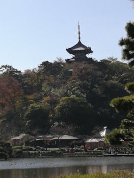 三溪園に投稿された画像（2021/11/15）