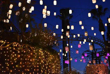 ひらかたパークに投稿された画像（2021/11/15）