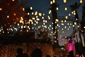 ひらかたパークに投稿された画像（2021/11/15）