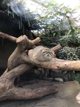 神戸どうぶつ王国に投稿された画像（2021/11/15）