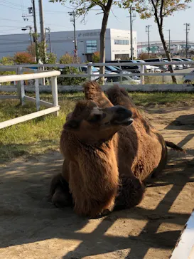 神戸どうぶつ王国に投稿された画像（2021/11/15）