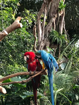 神戸どうぶつ王国に投稿された画像（2021/11/15）