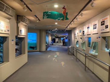 しながわ水族館に投稿された画像（2021/11/15）