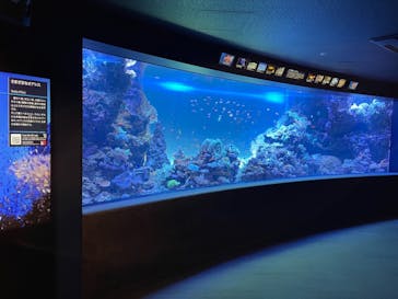 サンシャイン水族館に投稿された画像（2021/11/15）
