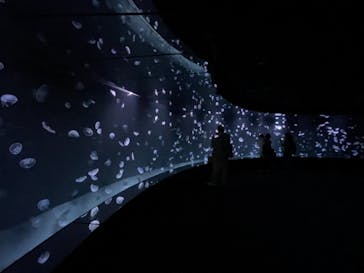 サンシャイン水族館に投稿された画像（2021/11/15）