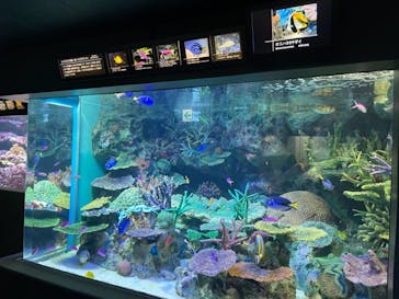 サンシャイン水族館に投稿された画像（2021/11/15）