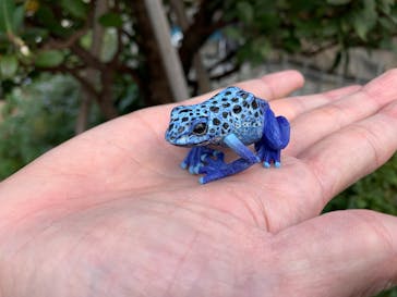 サンシャイン水族館に投稿された画像（2021/11/15）