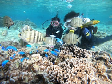 武藤潜水に投稿された画像（2021/11/15）