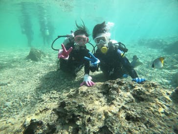 武藤潜水に投稿された画像（2021/11/15）