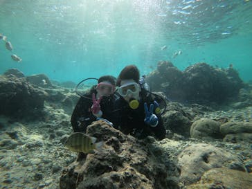 武藤潜水に投稿された画像（2021/11/15）