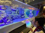 すみだ水族館に投稿された画像（2021/11/15）