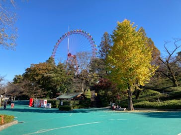 西武園ゆうえんちに投稿された画像（2021/11/15）