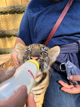 しろとり動物園に投稿された画像（2021/11/15）
