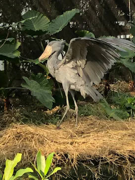 神戸どうぶつ王国に投稿された画像（2021/11/15）
