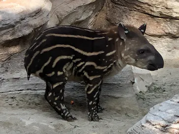 神戸どうぶつ王国に投稿された画像（2021/11/15）