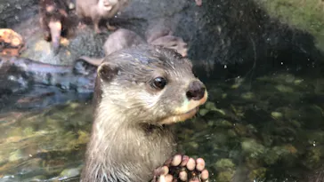 神戸どうぶつ王国に投稿された画像（2021/11/15）