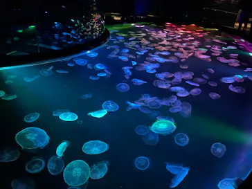 すみだ水族館に投稿された画像（2021/11/15）