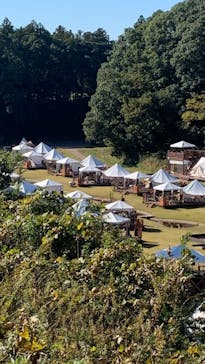 おふろcafé かりんの湯に投稿された画像（2021/11/15）