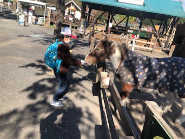 まかいの牧場に投稿された画像（2021/11/15）