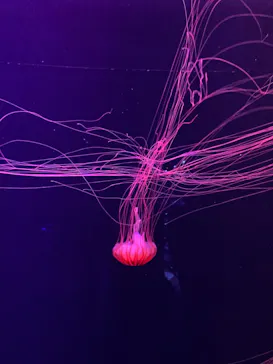 すみだ水族館に投稿された画像（2021/11/15）