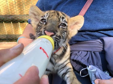 しろとり動物園に投稿された画像（2021/11/15）