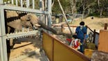 しろとり動物園に投稿された画像（2021/11/15）