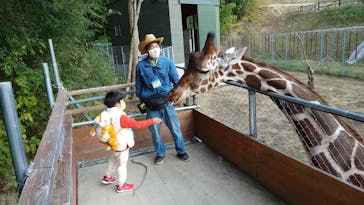 しろとり動物園に投稿された画像（2021/11/15）