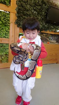 しろとり動物園に投稿された画像（2021/11/15）