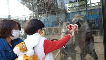 しろとり動物園に投稿された画像（2021/11/15）